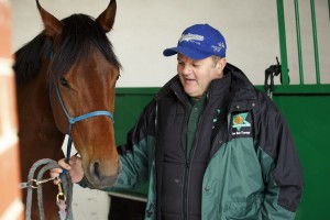 Equine Salt Therapy-203 - Copy