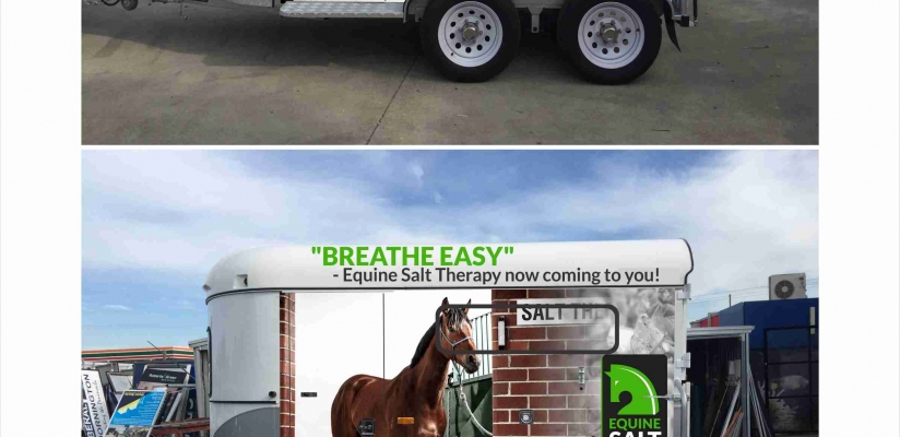 INTRODUCING MOBILE EQUINE SALT THERAPY – Business opportunities avail.