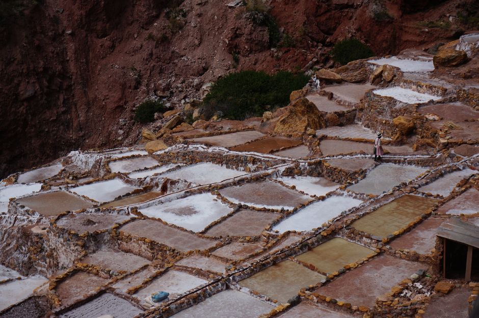 The History of Salt: From Ancient Trade to Equine Wellness