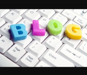 Horse Blogging for Beginners