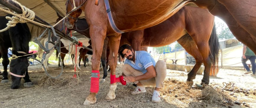 Why US Patent 11,497,593 Matters in Animal Wellness