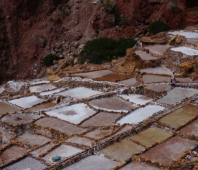 The History of Salt: From Ancient Trade to Equine Wellness