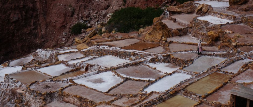 The History of Salt: From Ancient Trade to Equine Wellness
