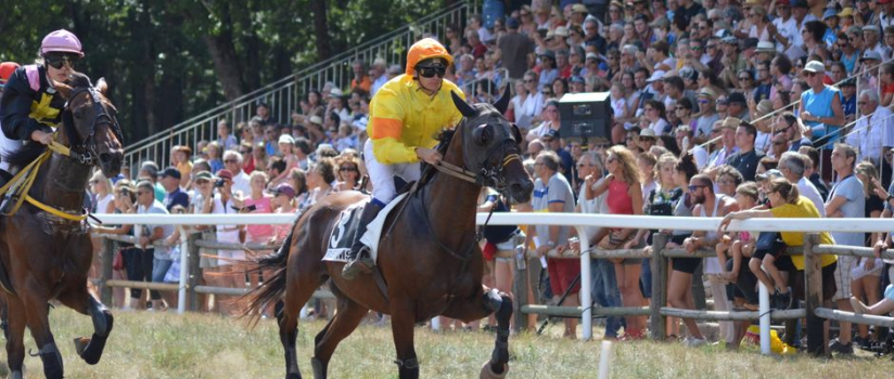 Horses Lung Capacity: The Science of Equine VO2 Max