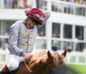 How do you take a mobile equine wellness business to racetracks?