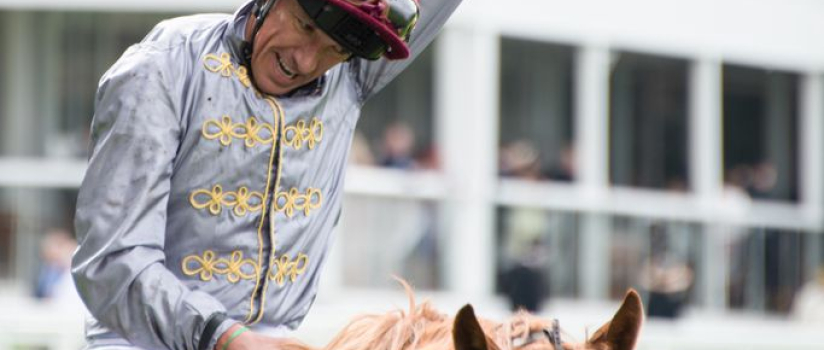How do you take a mobile equine wellness business to racetracks?