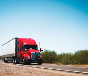 Do you need a Coggins test to travel interstate with a horse?