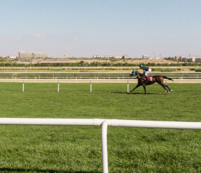 What does the Lasix-free future of racing mean for horses with EIPH?