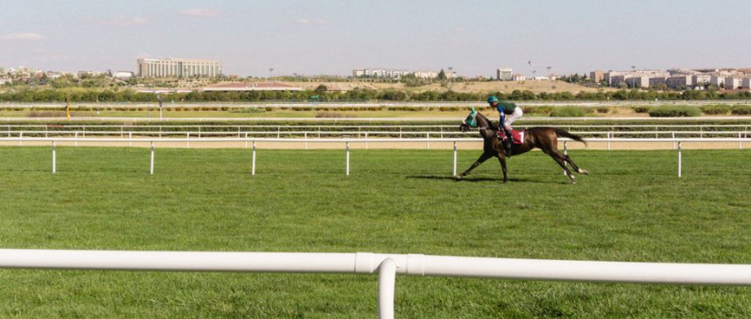 What does the Lasix-free future of racing mean for horses with EIPH?