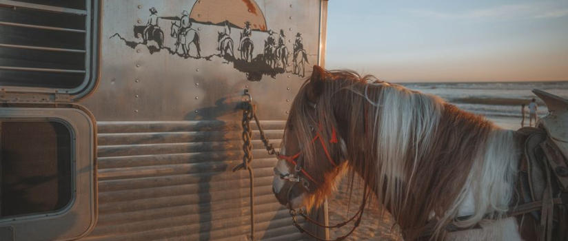 Equine Travel Sickness Prevention: A Clinical Guide for Performance Horses