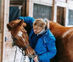 What should I ask an Equine Salt Therapy Practitioner about Ultisalt™?