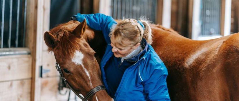 Equine Rehabilitation Centres in Australia: A Complete Guide